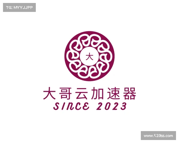 关于大哥云加速器